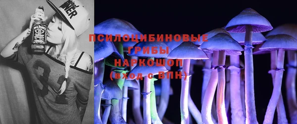 шишки Вяземский