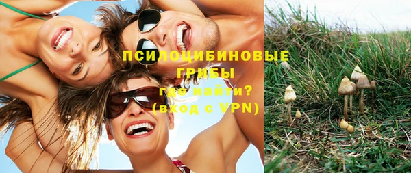 шишки Вяземский