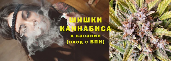 шишки Вяземский