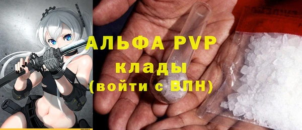 шишки Вяземский