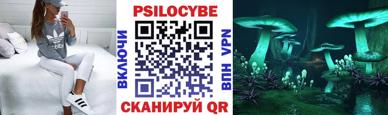 Галлюциногенные грибы Psilocybine cubensis Владикавказ